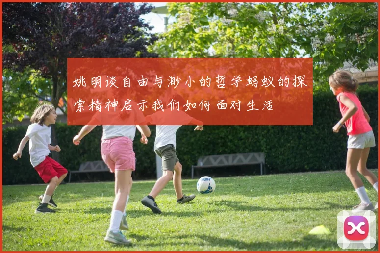 姚明谈自由与渺小的哲学蚂蚁的探索精神启示我们如何面对生活